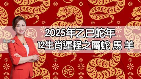 金蛇年2025|2025蛇年運程｜12生肖運勢全面睇+犯太歲4生肖+開運大